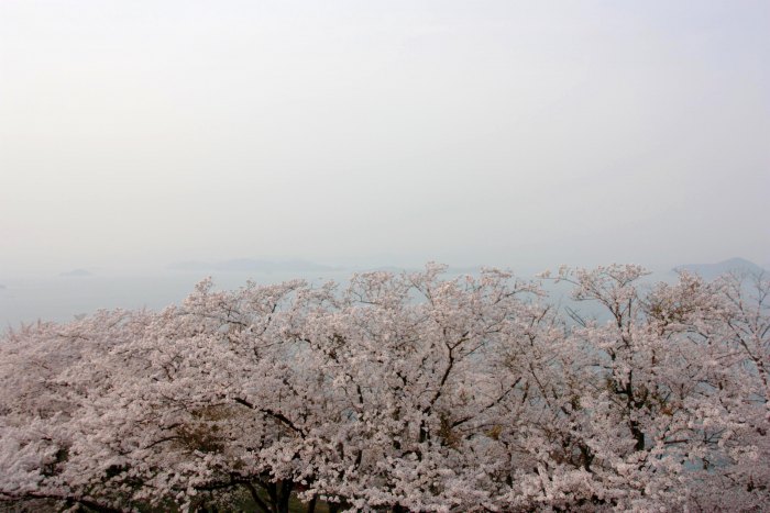 紫雲出山