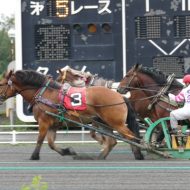 北海道帯広市のばんえい競馬