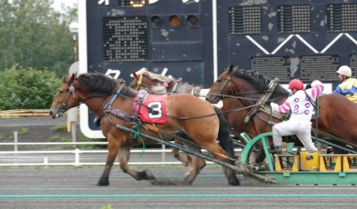 北海道帯広市のばんえい競馬