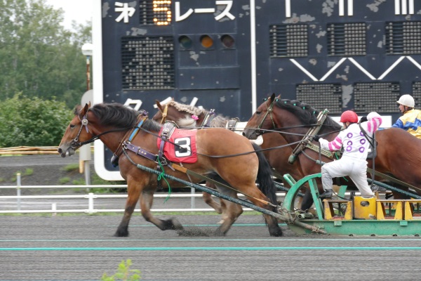 北海道帯広市のばんえい競馬