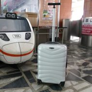 花蓮駅で見つかったいがモバのスーツケース