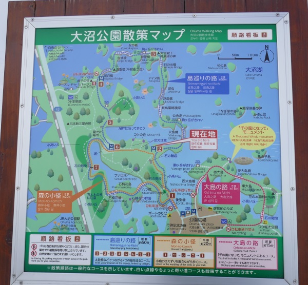 大沼公園の散策路の案内地図