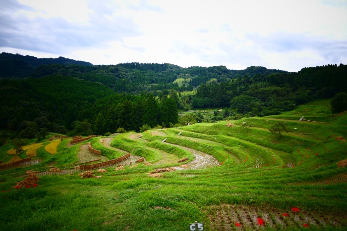 千葉県にいることを忘れてしまう絶景