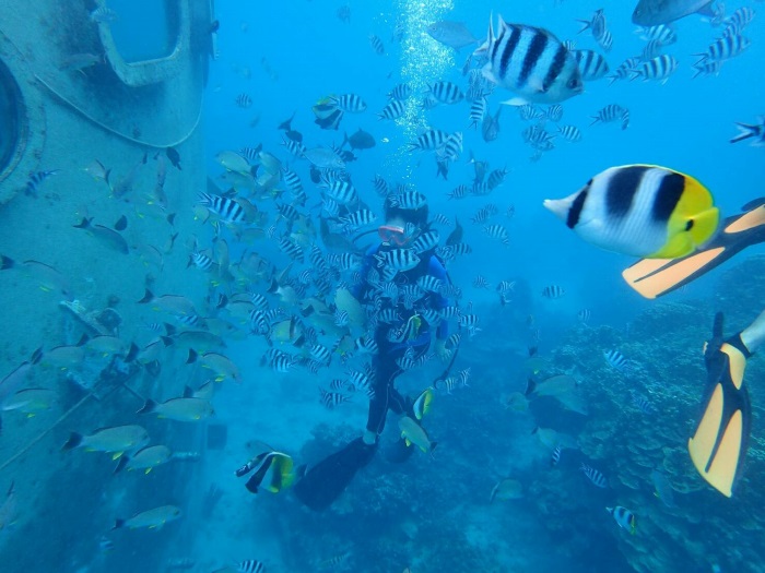 餌付け用のソーセージにたくさんの魚が群がる